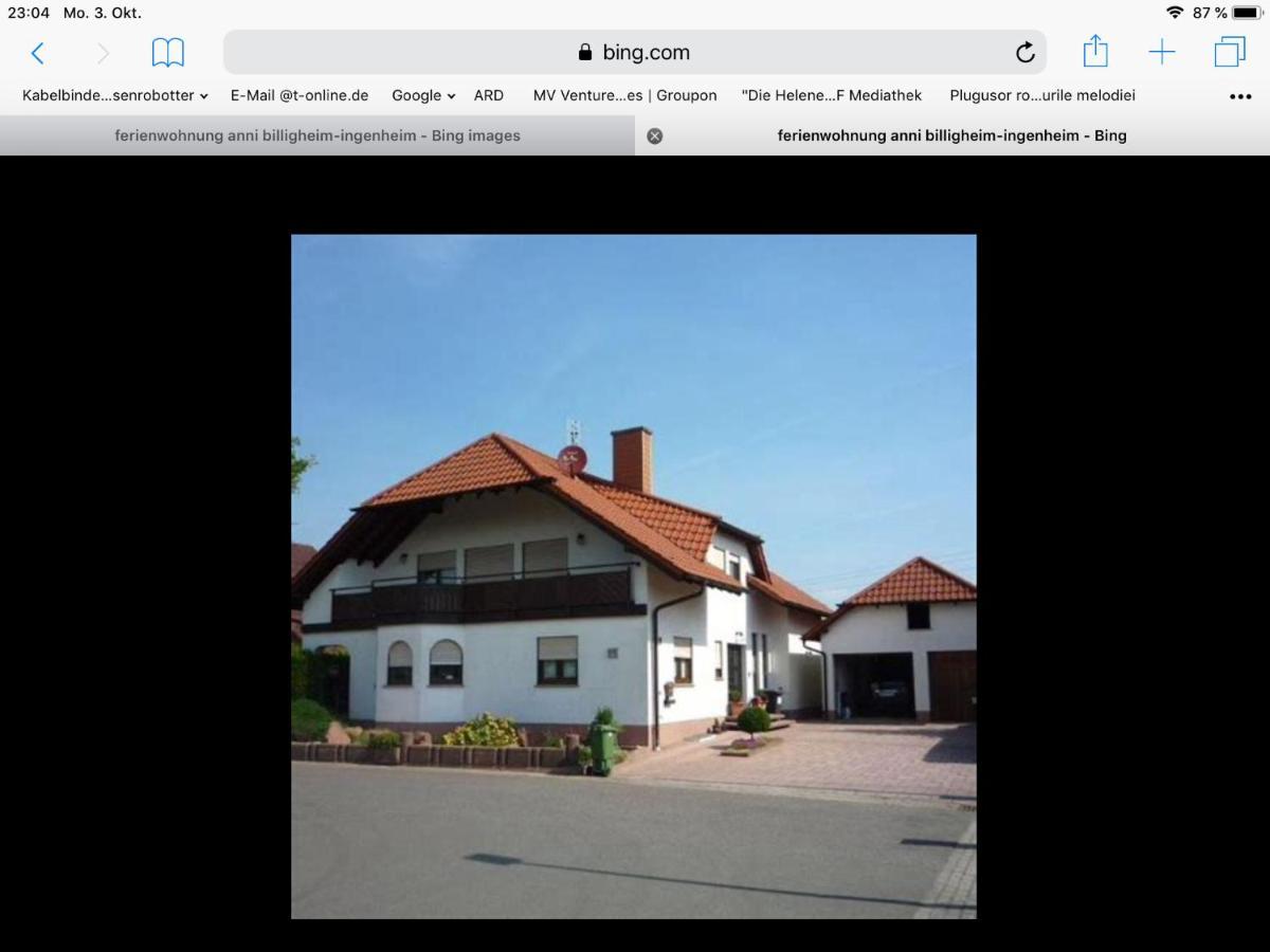 „Ferienwohnung Anni“ Billigheim-Ingenheim Exterior foto
